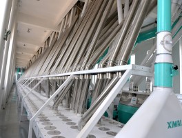 爱马仕中国加工厂(爱马仕生产厂家在哪里)