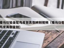 爱马仕铂金鸵鸟皮包真假辨别视频（爱马仕鸵鸟皮真假鉴别）
