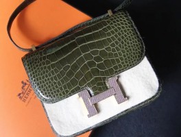 鳄鱼皮爱马仕康康哪个好(鳄鱼皮爱马仕birkin)