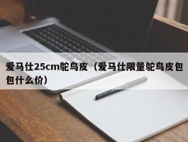 爱马仕25cm鸵鸟皮（爱马仕限量鸵鸟皮包包什么价）