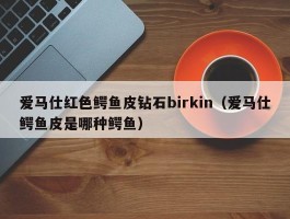 爱马仕红色鳄鱼皮钻石birkin（爱马仕鳄鱼皮是哪种鳄鱼）