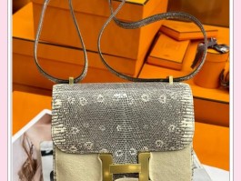 爱马仕官网蜥蜴皮包(爱马仕蜥蜴皮birkin)
