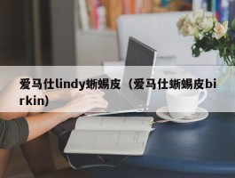 爱马仕lindy蜥蜴皮（爱马仕蜥蜴皮birkin）