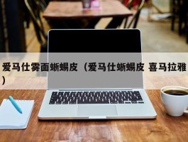 爱马仕雾面蜥蜴皮（爱马仕蜥蜴皮 喜马拉雅）