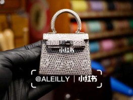 爱马仕马赛克蜥蜴(爱马仕蜥蜴扣康康公价)