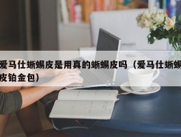 爱马仕蜥蜴皮是用真的蜥蜴皮吗（爱马仕蜥蜴皮铂金包）