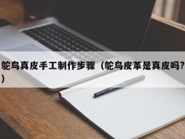 鸵鸟真皮手工制作步骤（鸵鸟皮革是真皮吗?）