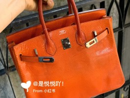 蜥蜴皮爱马仕包(爱马仕蜥蜴皮是哪个地区的皮)