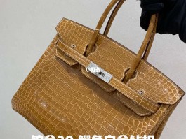 爱马仕鳄鱼铂金包拼接(爱马仕红色鳄鱼皮铂金包)