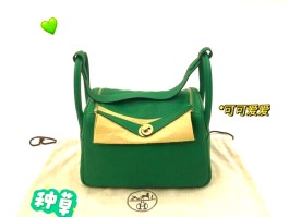 爱马仕蜥蜴皮包包绿色(爱马仕蜥蜴皮 mini kelly)