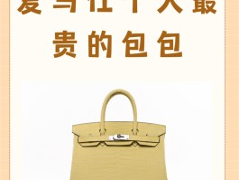 爱马仕最贵的包女款(爱马仕最贵的包女款图片)