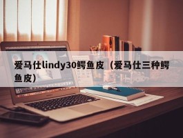 爱马仕lindy30鳄鱼皮（爱马仕三种鳄鱼皮）