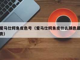 爱马仕鳄鱼皮色号（爱马仕鳄鱼皮什么颜色最贵）