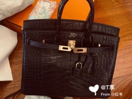 爱马仕鳄鱼皮birkin直播的简单介绍