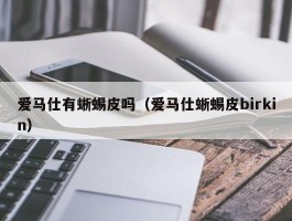 爱马仕有蜥蜴皮吗（爱马仕蜥蜴皮birkin）