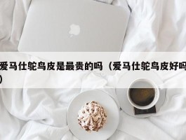 爱马仕鸵鸟皮是最贵的吗（爱马仕鸵鸟皮好吗）
