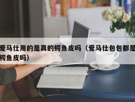 爱马仕用的是真的鳄鱼皮吗（爱马仕包包都是鳄鱼皮吗）