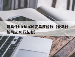 爱马仕birkin30鸵鸟皮价钱（爱马仕鸵鸟皮30万左右）