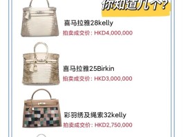 爱马仕最贵的包2000万叫什么(爱马仕最贵的包2000万叫什么名字)