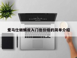爱马仕蜥蜴皮入门包价格的简单介绍