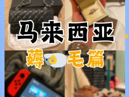 女包在马来西亚好卖吗(马来西亚买什么包包划算)