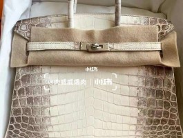 爱马仕鳄鱼皮铂金包尺寸(爱马仕鳄鱼皮birkin30)