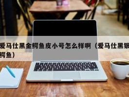 爱马仕黑金鳄鱼皮小号怎么样啊（爱马仕黑银鳄鱼）