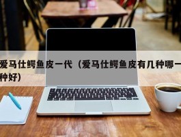 爱马仕鳄鱼皮一代（爱马仕鳄鱼皮有几种哪一种好）