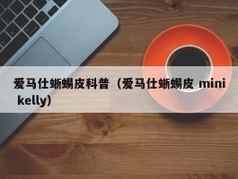 爱马仕蜥蜴皮科普（爱马仕蜥蜴皮 mini kelly）