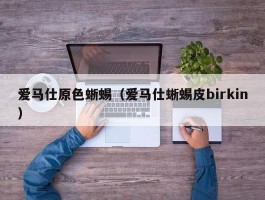 爱马仕原色蜥蜴（爱马仕蜥蜴皮birkin）