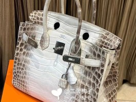 爱马仕birkin鳄鱼皮喜马拉雅的简单介绍