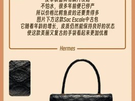 爱马仕最稀有的皮(爱马仕最稀有的皮带是什么)