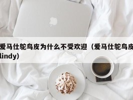 爱马仕鸵鸟皮为什么不受欢迎（爱马仕鸵鸟皮lindy）