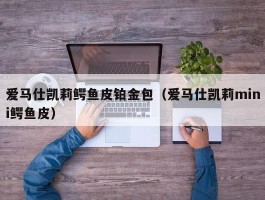 爱马仕凯莉鳄鱼皮铂金包（爱马仕凯莉mini鳄鱼皮）