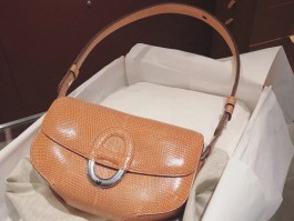 蜥蜴皮包包爱马仕(爱马仕蜥蜴皮birkin)
