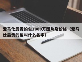 爱马仕最贵的包2000万图片及价格（爱马仕最贵的包叫什么名字）