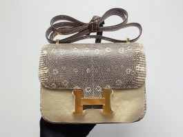 爱马仕蜥蜴皮birkin(爱马仕蜥蜴皮包价位)