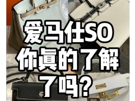 定制爱马仕和专柜比哪个好(爱马仕包和自己手工定制区别)