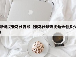 蜥蜴皮爱马仕视频（爱马仕蜥蜴皮铂金包多少）