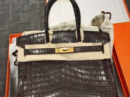 鳄鱼皮爱马仕包的价位(爱马仕鳄鱼皮包包什么价)