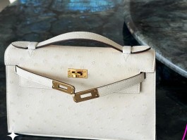 爱马仕birkin35鸵鸟皮(爱马仕鸵鸟皮kelly25包包什么价)
