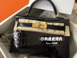 爱马仕鳄鱼皮的种类(爱马仕鳄鱼皮来自哪里)