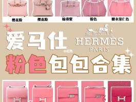 蜥蜴纹包包爱马仕粉色(爱马仕蜥蜴皮birkin)