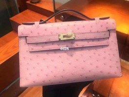 爱马仕鸵鸟皮birkin(爱马仕鸵鸟皮birkin什么价)