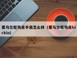 爱马仕鸵鸟皮手袋怎么样（爱马仕鸵鸟皮birkin）