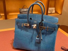 爱马仕蜥蜴皮birkin鉴定(爱马仕蜥蜴皮 mini kelly)