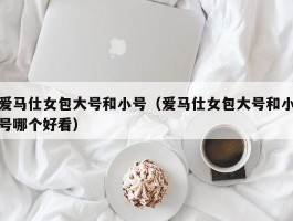 爱马仕女包大号和小号（爱马仕女包大号和小号哪个好看）