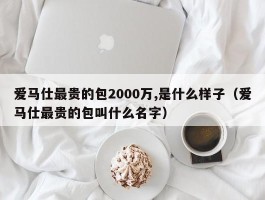 爱马仕最贵的包2000万,是什么样子（爱马仕最贵的包叫什么名字）