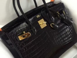 爱马仕鳄鱼品种(爱马仕鳄鱼是养殖的吗)