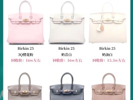爱马仕蜥蜴皮包价位(爱马仕蜥蜴皮包价位是多少)